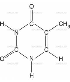 THYMINE