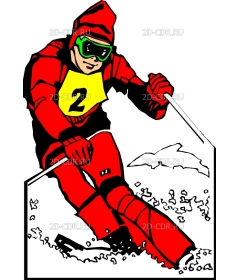 SKIER2