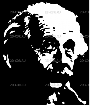 Альберт Эйнштейн (1)