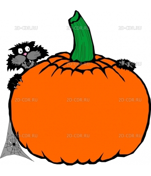 Pumpkin4