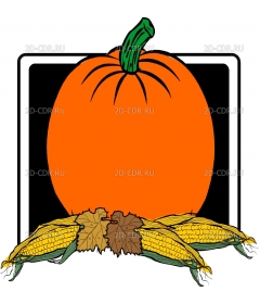 PUMPKIN5