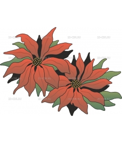 POINSETA