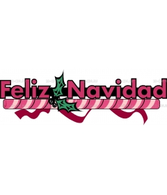 FELIZHD