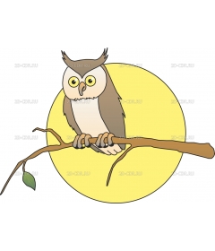 OWL_MOON