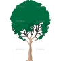 Векторный клипарт «Дерево (12)»