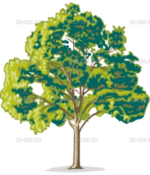 Дерево (16)