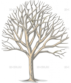 Дерево (17)