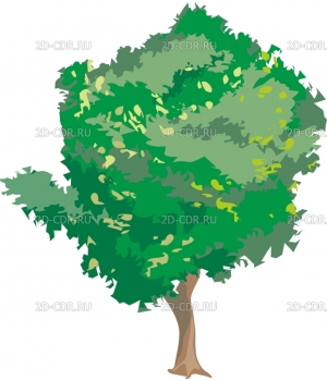 Дерево (3)