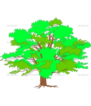 Дерево (31)