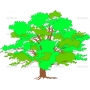 Векторный клипарт «Дерево (31)»