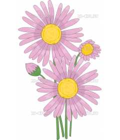 ASTER