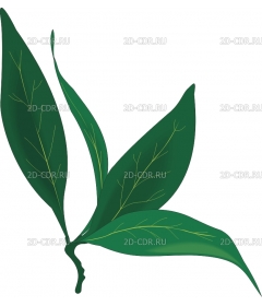 BAYLEAF