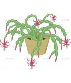 CRCACTUS