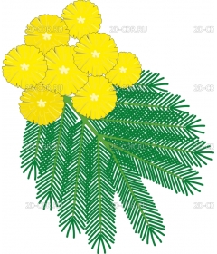 MIMOSA