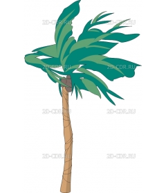 PALM