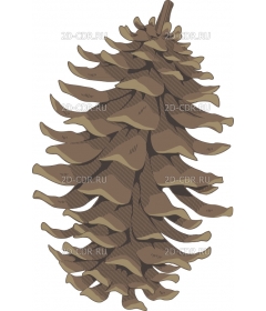 PINECONE