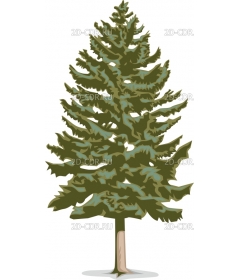 SPRUCE2