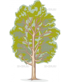 TREE8