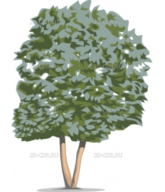 TREE9