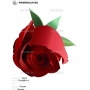 Векторный клипарт «Роза (10)»