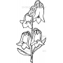 Векторный клипарт «Цветы (348)»