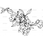 Векторный клипарт «Цветы (486)»