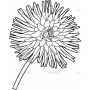 Векторный клипарт «Цветы (554)»