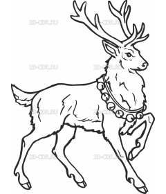 DEER4