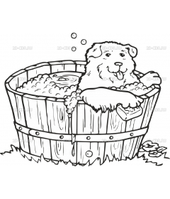 DOG_BATH