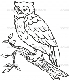 OWL4