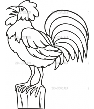 ROOSTER3