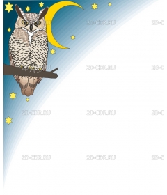 OWLMOON