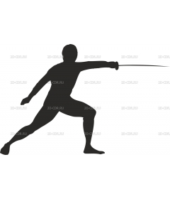 FENCINGI