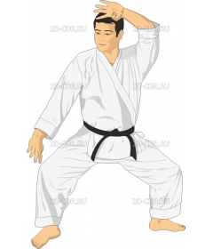 KARATE