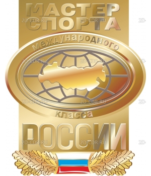 Мастер спорта России (1)