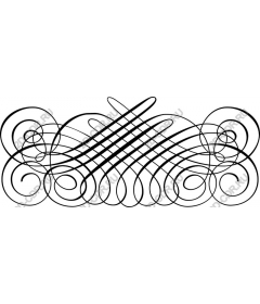 Elegant decorative flourish