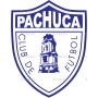 Векторный клипарт «PACHUCA»