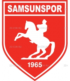 SAMSUN~1