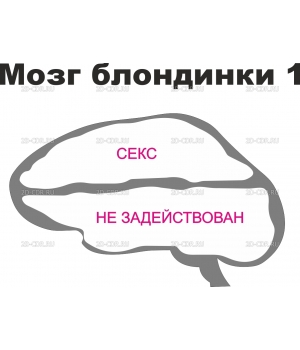 Мозги (2)