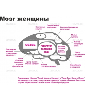 Мозги (4)