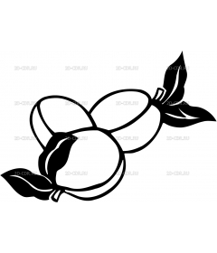 Овощи и фрукты (75)