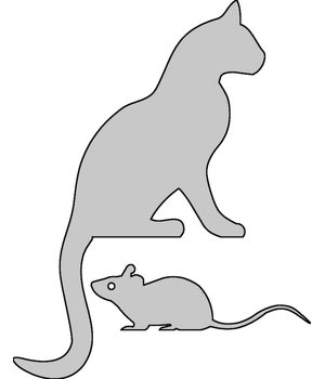 Кошка и мышка (2)