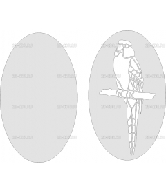 Попугай (2)