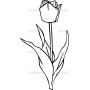 Векторный макет «Растение (149)»