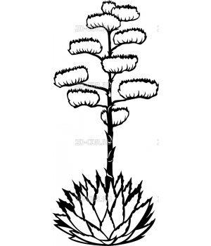 Растение (6)