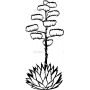 Векторный макет «Растение (6)»