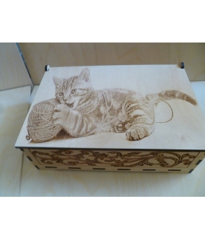 Коробка с кошкой