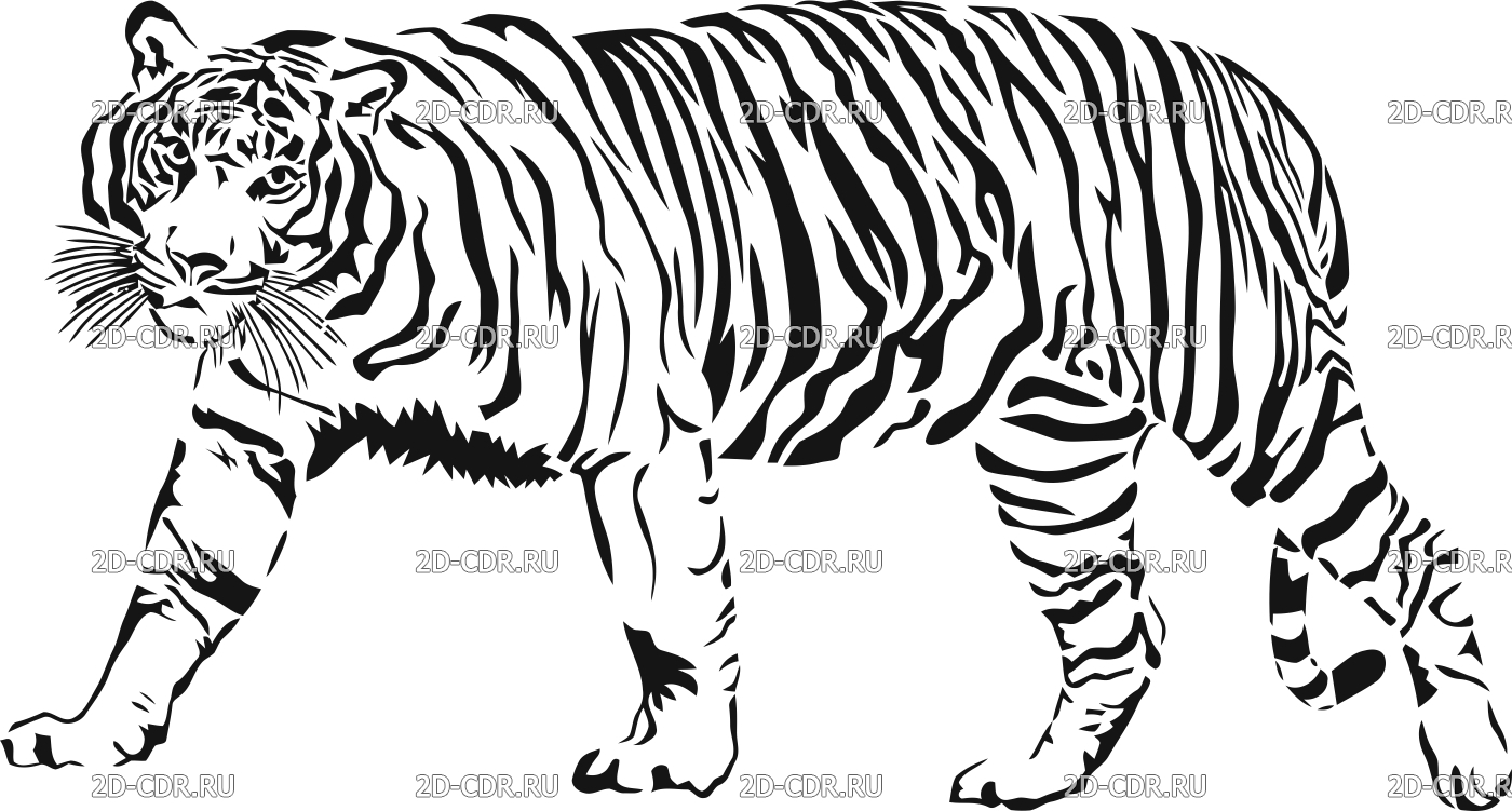 Тигр черно белый рисунок на белом фоне