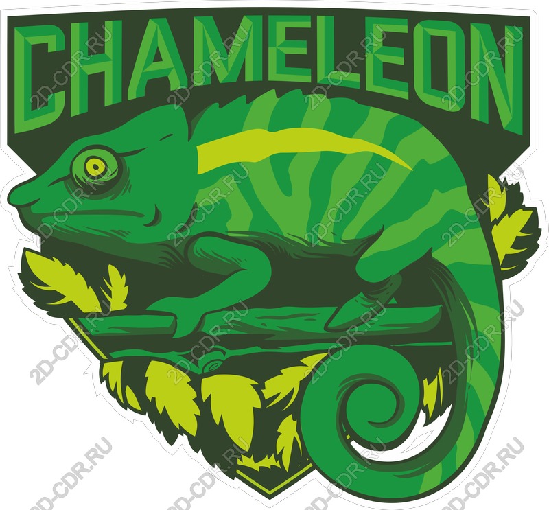 Chameleon Vector - Design inspired by nature