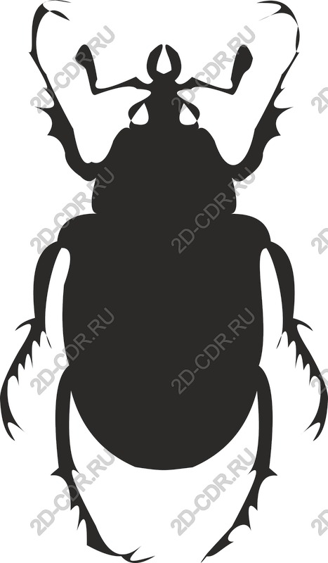 Vector silhouette of a bug's - Graphic design inspired by nature